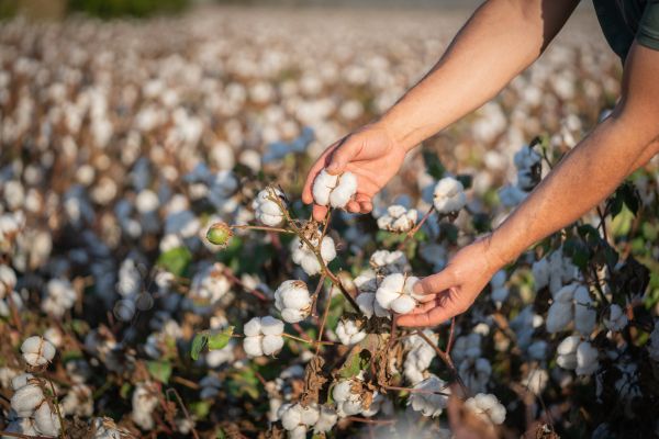 Why Organic Clothing is Better for Your Baby and the Planet - parentree.co
